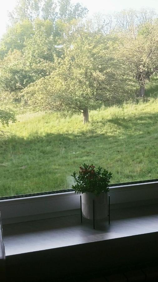 Przylesie Apartment Uniejow Bagian luar foto